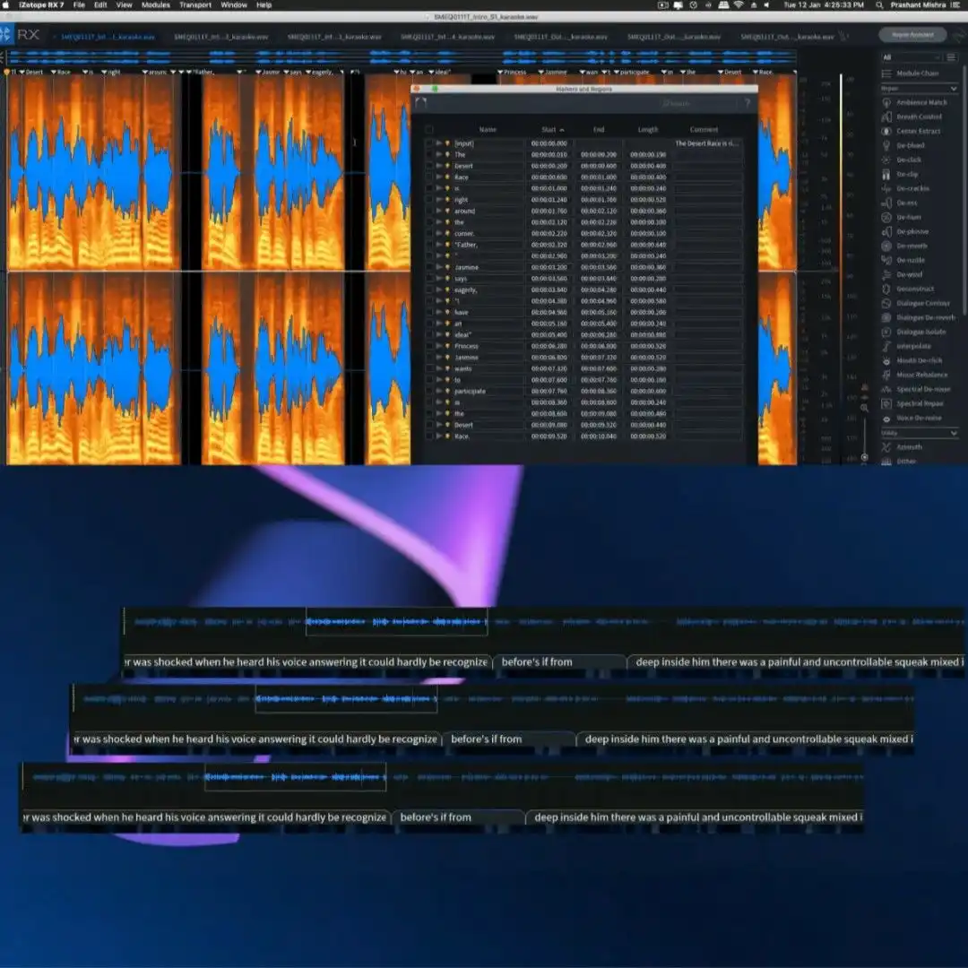 iZotope RX & Voice and Text Sync